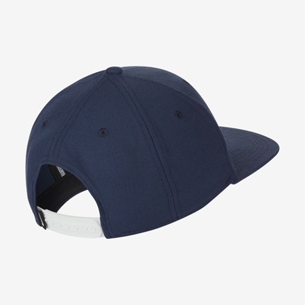 Nike true 2024 cap price